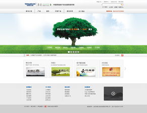 北京網(wǎng)站設(shè)計(jì)與網(wǎng)絡(luò)信息安全軟件開發(fā) 案例探析